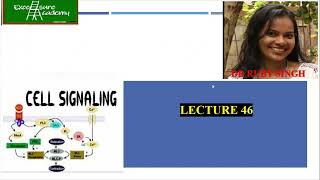 Cell Signaling Lecture46 Cell Biology Mode of Signaling Tyrosine Kinase receptor MAPK pathway [upl. by Lulita429]