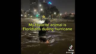 capcut florida floridahurricane Floridians foryou capcutedit edit ￼ [upl. by Eirelav]