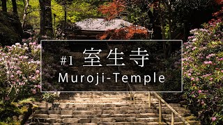 室生寺編「第１話」｜奈良観光コンシェルジュが宇陀市のお寺をご紹介：MurojiTemple in Uda City｜Nara [upl. by Karlyn542]