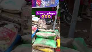 Sakusakong bigas nasayang at di na mapapakinabangan bicol nagacity [upl. by Adnylg754]