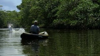 Killer Torpedo  How to Catch a Tarpon  River Monsters [upl. by Frick]