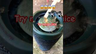 Try mango juice  what you want see next video comments please youtubeshorts viral [upl. by Ward585]