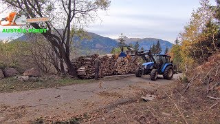 Spalten und dann Stapeln Binderberger H20 Holzspalter [upl. by Annailuj]