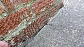 What is a bridged Damp Proof Course DPC Domesticsurveys [upl. by Gem]