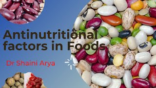 Anti Nutritional Factors in FoodsLegumesPulses [upl. by Palestine]