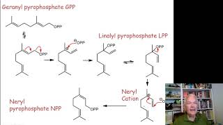 Terpene Biosynthesis [upl. by Earle]