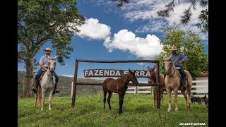 Fazenda Serra AraxáMG Não está a venda [upl. by Latham]