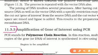 Amplification of Gene of Interest using PCR [upl. by Eyks]