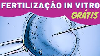 Fertilização In Vitro Grátis pelo SUS Como e onde fazer Inseminação Artificial [upl. by Auqinet]