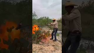 How Cactus Becomes Food for Cattle in the Desert cactus desert telugufacts shorts telugunews [upl. by Eedebez]