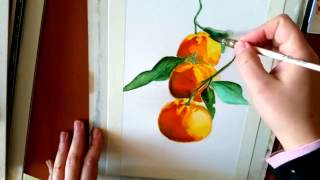 Dipingere mandarini how to paint tangerines time lapse [upl. by Nare]