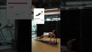 14 2024 10 16 yra AGTEST8 H GhostMode S PushUps V ExerciseVideo C LiubovZ K GhostHook CT 15365 Ver 4 [upl. by Kuehn]