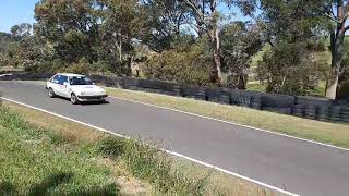 Warren Heath performance KB Laser ipra car Australian Hillclimb championships 2024 Bryant Park [upl. by Tacy427]