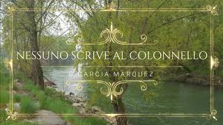 Nessuno scrive al Colonnello  G Garcia Marquez  Audiolibro integrale [upl. by Nnaeerb]