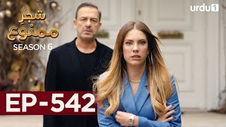 ShajareMamnu  Episode 542  Turkish Drama  Forbidden Fruit  Urdu Dubbing  10th April 2023 [upl. by Niroc]