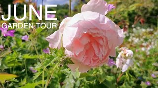 June English Country Garden Tour gardentour [upl. by Akirrehs713]