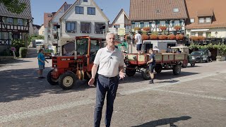 360 Grad  Impressionen vom Erlenbacher Weinfest  150824 [upl. by Vickie482]