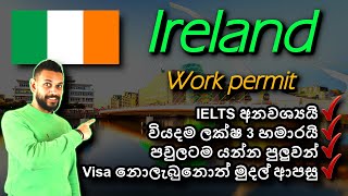 අයර්ලන්තයේ රැකියා වීසා අඩුම වියදමකින්  Ireland Critical Skills work visa 2024  No IELTS  Sinhala [upl. by Acinoreb]