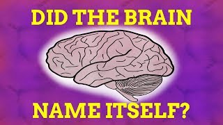 How Did The Brain Name Itself [upl. by Yelruc]