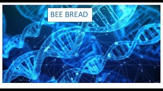 Explanied easy Bee Bread The Nutritional Powerhouse [upl. by Aihsi]