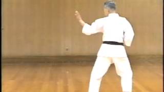 Saitamatsu sensei  Niseishi [upl. by Liane]