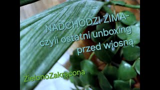 NADCHODZI ZIMA☃️ ostatni unboxing przed marcem 🌼 [upl. by Fital]