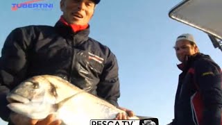 Tecnica di PESCA delle ORATE a BOLENTINO con Marco VOLPI  Peschiamo in barca con le canne  PescaTV [upl. by Daphie]