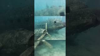 Navy Discovered Plane Inside Ocean story [upl. by Nerw151]