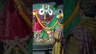 shrijagannathmangalaratidarshan todayaratioflordjagannath jagannathangalaratitoday jagarnathpuri [upl. by Chill]