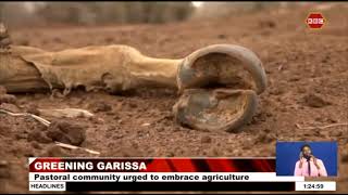 Garissa youth embark on ambitious plan to expand forest cover [upl. by Ariella]