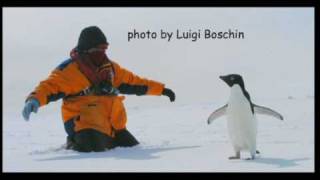 Dances with Penguins  part 2  with AstronomicalToursnet [upl. by Otte937]