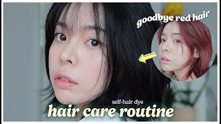 HAIR CARE ROUTINE ✨ selfhair dye  Erna Limdaugh [upl. by Krause299]