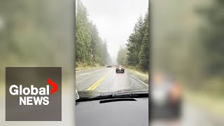 Woman comes facetoface with tornado during BC windstorm quotI have to turn aroundquot [upl. by Gonroff]