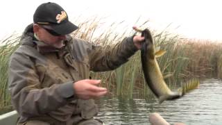 Fishing for pike in Danube Delta [upl. by Alel731]