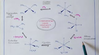 Wilkinsons catalyst  Hydrogenation of alkenes [upl. by Lawtun658]