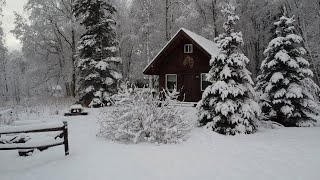 Homestead Life in Alaska  Winter Arrives  Nordland 49 [upl. by Nyleahs]