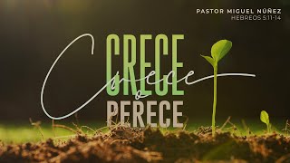 Crece o perece  Pastor Miguel Núñez  La IBI [upl. by Medrek830]