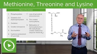 Methionine Threonine and Lysine Metabolism – Biochemistry  Lecturio [upl. by Bunker]