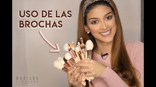 Como Usar las Brochas de Maquillaje  Makeup Brushes Zoeva [upl. by Bibi]