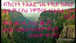 Tigrignamusic Ethiopian music Solomon Haile Sidet ስደትquot with lyrics [upl. by Ahsiekyt20]