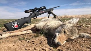 Thermal Predator Hunting 30 Coyotes Down with the Rico MK1 Some of the best HD Thermals Kills EVER [upl. by Pepillo]