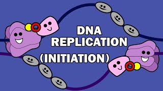 DNA REPLICATION 13  INITIATION [upl. by Hanny883]