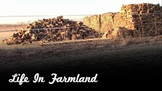 How I Stack My Firewood and Why I Do it This Way [upl. by Doro]