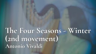 Vivaldi  Winter 2nd Movement from the Four Seasons  Amy Turk harp [upl. by Fia]