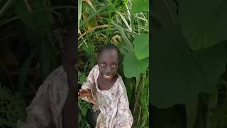 Tange Tange comedy video funny shorts viral trendingshorts [upl. by Illil]