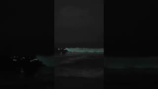 Bioluminescence in thiruvanmiyur beach bioluminescence beach [upl. by Eseerehc489]