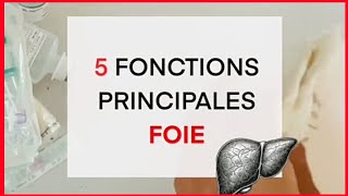 Les fonctions du foie  ce que vous devez savoir [upl. by Yrrak]