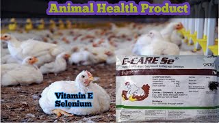 Use of Vitamin E amp Selenium in poultry Farming  Ecarese best supplements in Birds [upl. by Gariepy]