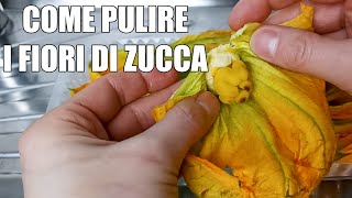 Come pulire i fiori di zucca [upl. by Redlac]