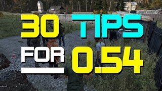 VERY OLD30 Tips for DayZ 054 [upl. by Rina]